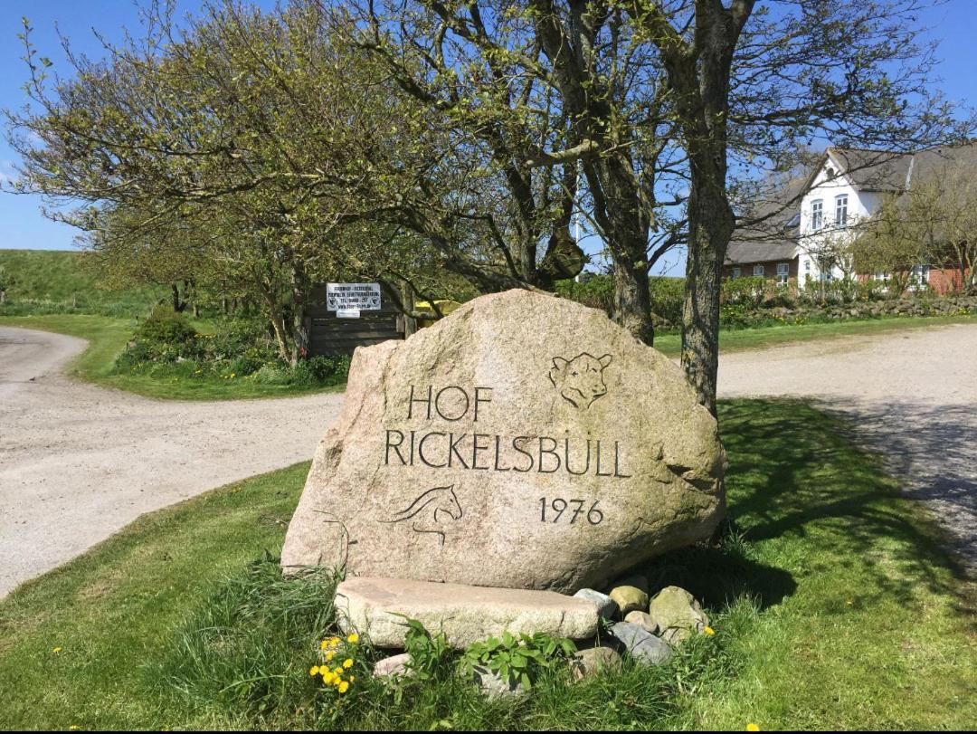 Hof Rickelsbuell - Nordseeurlaub Auf Dem Biobauernhof Rodenäs Eksteriør bilde