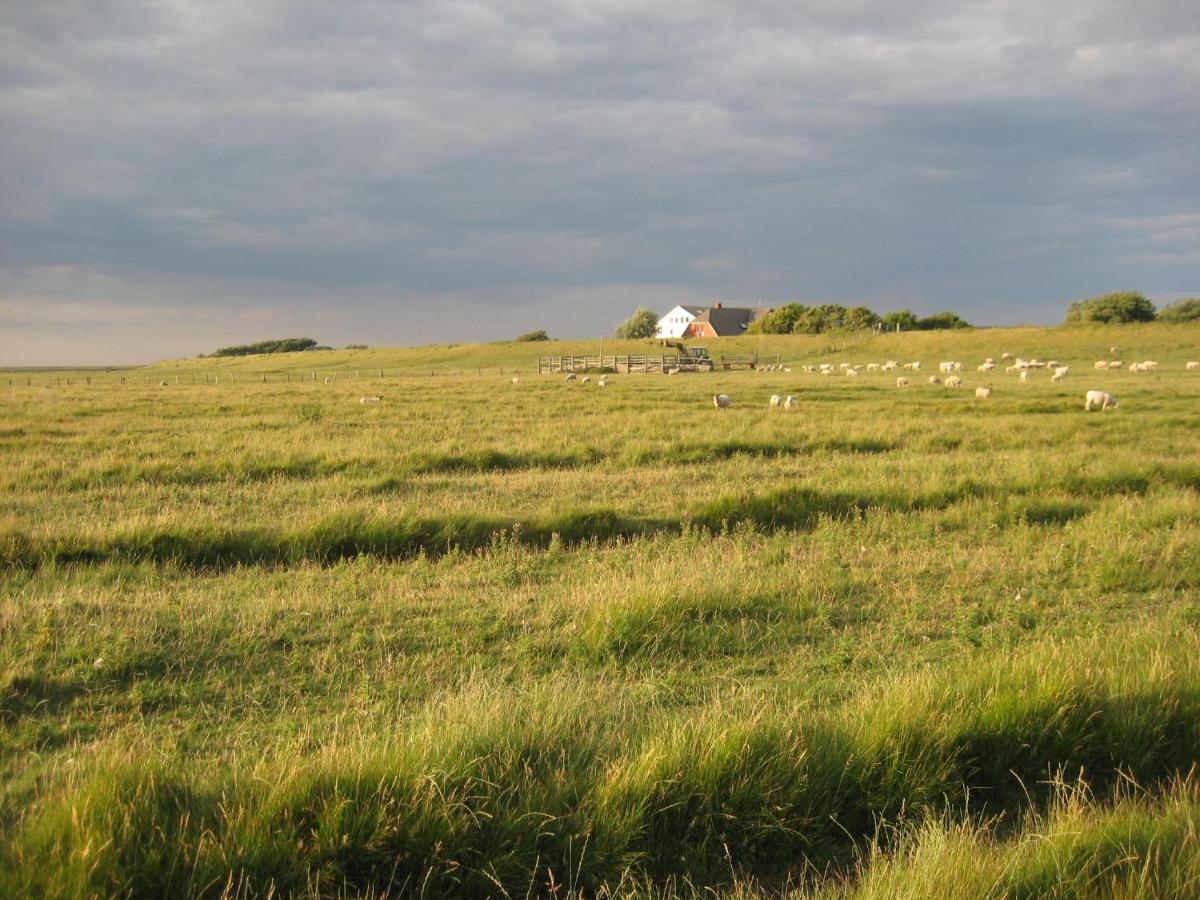 Hof Rickelsbuell - Nordseeurlaub Auf Dem Biobauernhof Rodenäs Eksteriør bilde